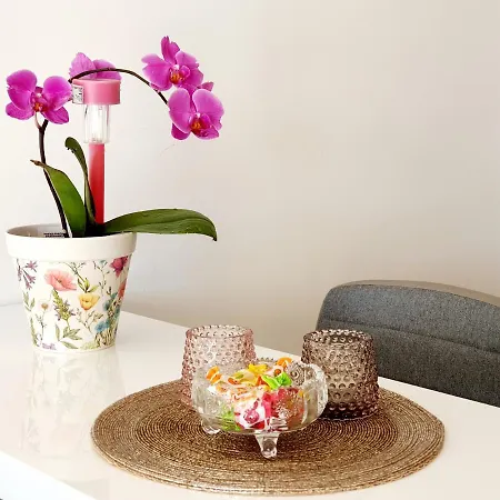 Design Bonavista