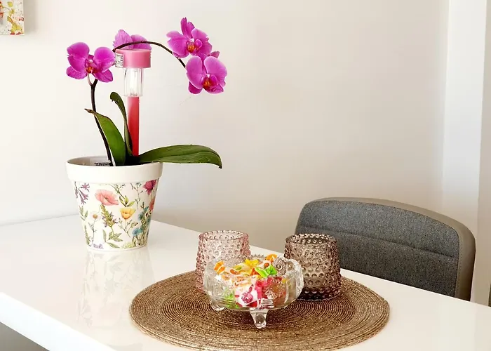 Design Bonavista