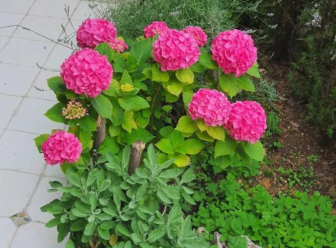 Apartman Design Bonavista Abbázia